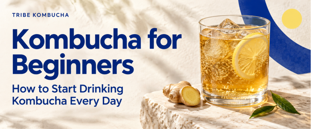 Kombucha for Beginners: How to Start Drinking Kombucha Every Day